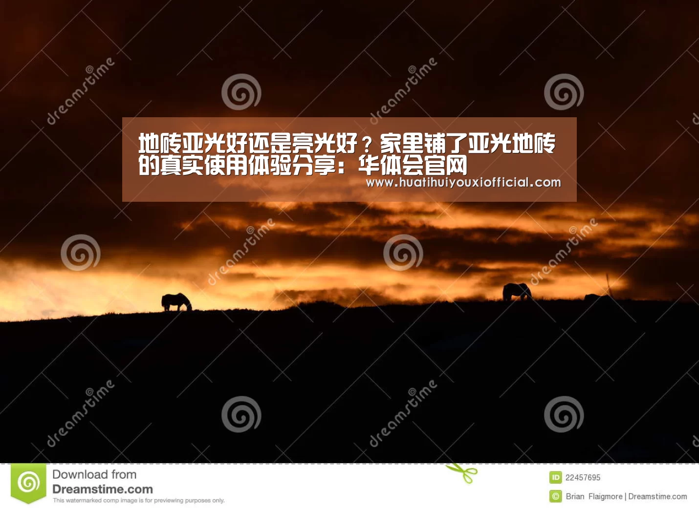华体会网站